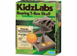 4M Vzdělávací sada Řvoucí lebka T-Rexe