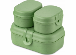 Koziol Svačinový box PASCAL READY MINI, sada 3 nádob, KOZIOL