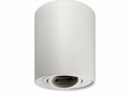 Master LED Stropní svítidlo Devo, směrová trubice, 1xGU10, bílé