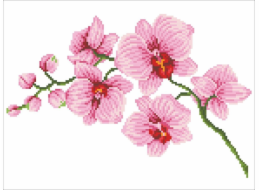 DIAMOND DOTZ Diamantová výšivka Diamond Dotz Orchidej 49x39cm DD6034