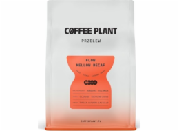 Coffee Plant Kávová zrna FLOW Mellow Decaf 250 g