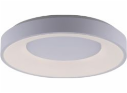 Paul Neuhaus Stropní lampa ANIKA 14326-16 stropní lampa