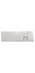 White Shark GK-003241 Tachi White US