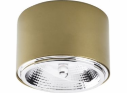 Stropní svítidlo TK Lighting Spot MORIS 3349