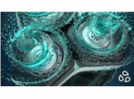 7762000
