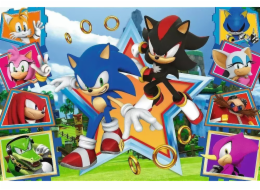 Trefl Puzzle 100 dílků Seznamte se se Sonicem Sonic