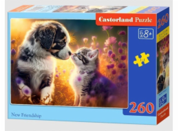 Castor Puzzle 260 dílků Kočička, pes nové přátelství