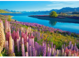 Castor 500dílné puzzle jezero Tekapo Nový Zéland