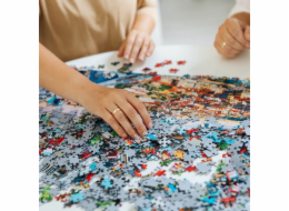 Trefl Puzzle 1000 dílků Bar ve sbírce umění Folies-Bergere Manet