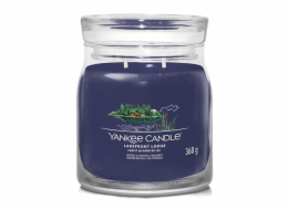 Svíčka ve skleněné dóze Yankee Candle, Chata u jezera, 368 g