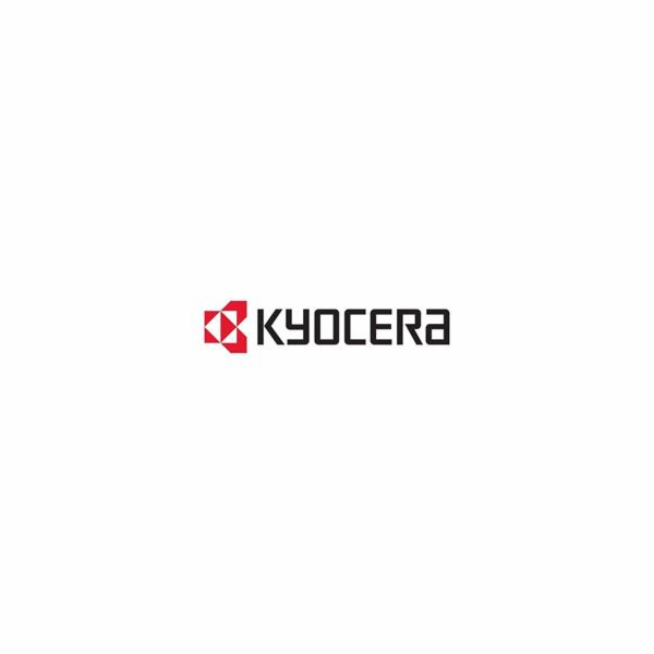 Kyocera UG-50, TPM (Trusted Platform Module)