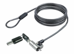 StarTech.com Nano Laptop Cable Lock, 6ft (2m), Anti-Theft Keyed Lock, Security Cable Locks Nano Slot Computers, For HP EliteBook/Lenovo ThinkPad X1/2-1 Laptops, Cut-Resistant Steel Cable Lock For Lapt