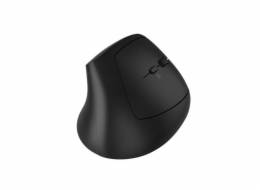 CANYON mouse MW-25 Ergonomic LED AA Dual mode Wireless Black
