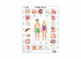 Larsen Vzdělávací puzzle Naše tělo 35 dílků