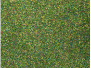 7981014