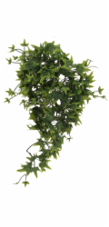 Lucky Reptile závěsný Ivy cca 40 cm