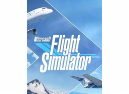ESD Microsoft Flight Simulator
