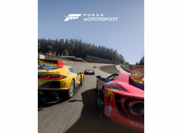 ESD Forza Motorsport
