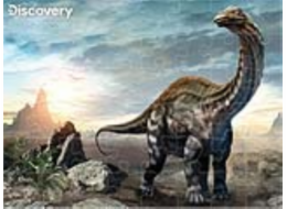 PRIME 3D PUZZLE - Apatosaurus 48 dílků