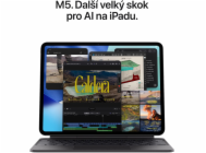 iPad Pro 13" Wi-Fi + Cellular 1TB se standardním sklem – vesmírně černý