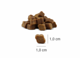 PLATINUM Fit-Bits Relax - pamlsek pro psa - 150g