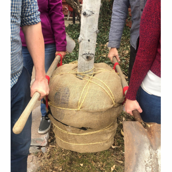 Stěhovací popruhy zahrada GARDENDOLLY M3060