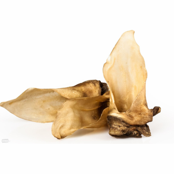 Arami Jelení ucho 10 ks