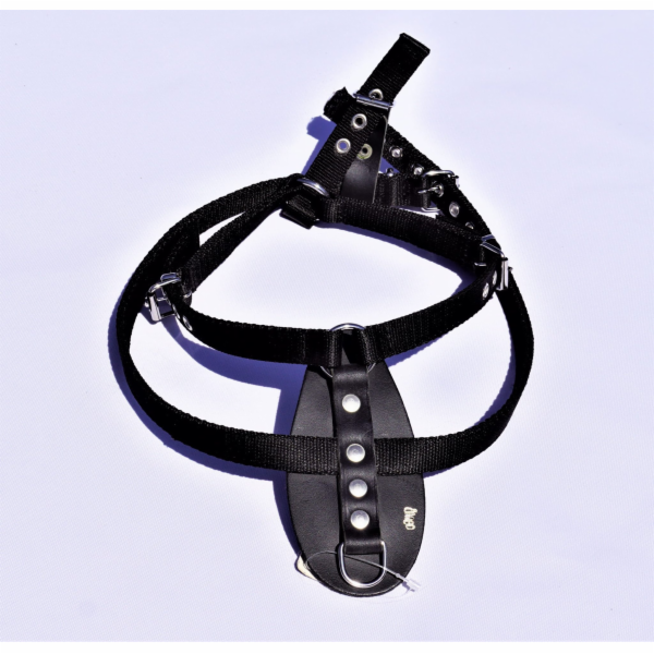 DINGO Postroj Tracking Tape č. 1