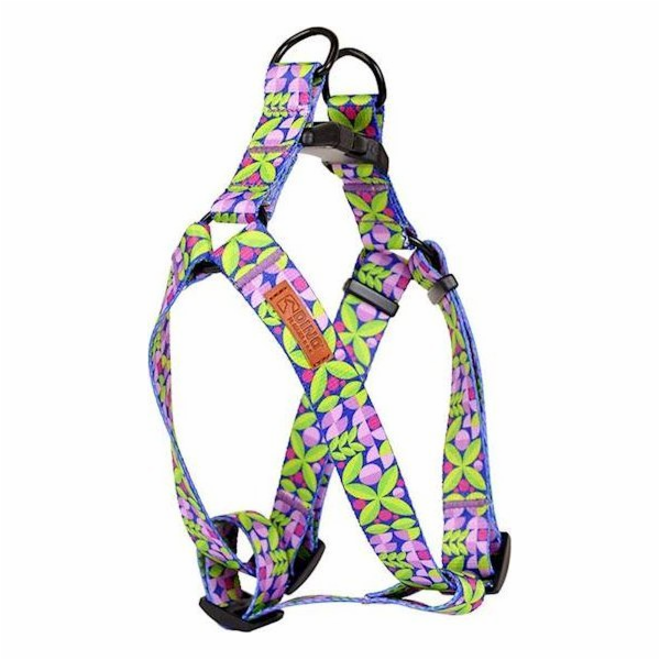 Dino Nastavitelný postroj DINO IVO 20mm, délka listu 40-60cm