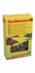 Lucky Reptile Earthworms 10g
