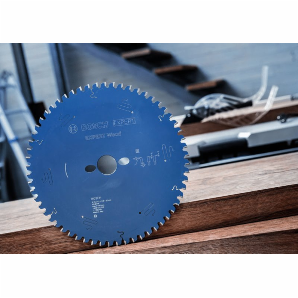 Bosch PILOVÝ KOTOUČ EX WO T 300x30-60