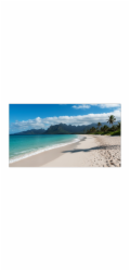 55" LED SHARP UN553V,1920x1080,IPS,24/7,500cd
