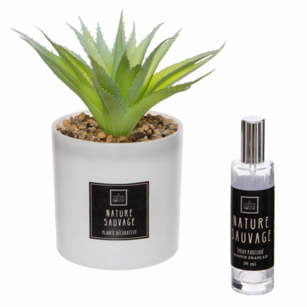 Atmosphera Umělá rostlina s vonným olejem PUNCHY CACTUS