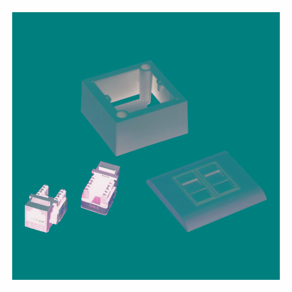 DATACOM UTP 2xRJ45 zásuvka Cat6 (pod i nad omítku)