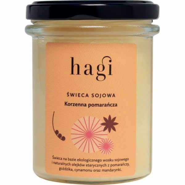 Hagi Hagi malá sójová svíčka s kořeněným pomerančem 215ml