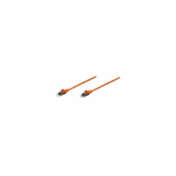 Intellinet Network Solutions Patchcord Cat6 SFTP 3M 100% ...