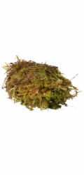 HabiStat Sphagnum Moss 1kg