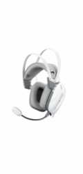 White Shark GH-2446 Gottan White