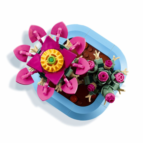 LEGO BOTANICALS 11509 Kvetoucí kaktus
