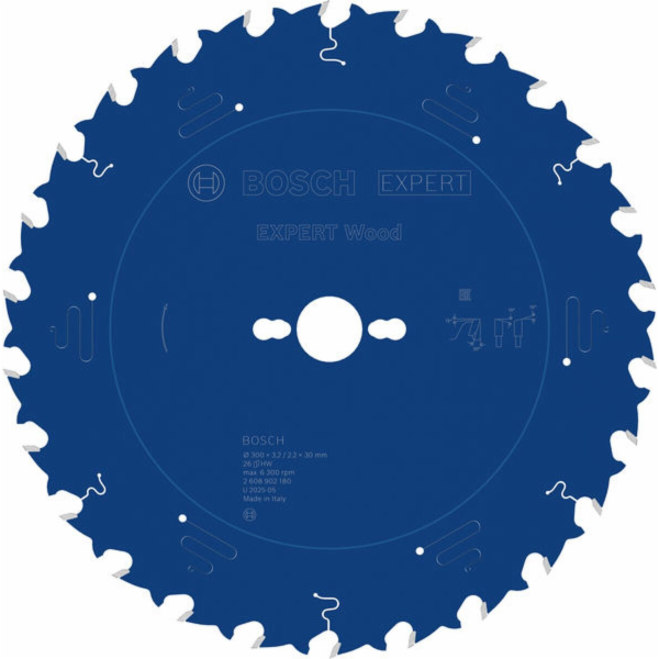 Bosch PILOVÝ KOTOUČ EX WO T 300x30-26