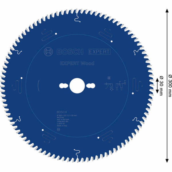 Bosch PILOVÝ KOTOUČ EX WO T 300x30-96