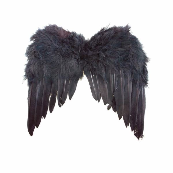 Křídla s černým peřím