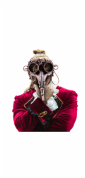 Steampunk maska morového doktora