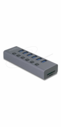 Delock - Rozbocovac - 5 Gbps, with switch, SD/Micro SD slot - 6 x USB - desktop
