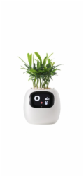 Inteligentní květináč PLANTSIO IVY bílý