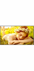 LG Electronics 43UL5Q-E 500cd/m2 UHD velkoformátový monitor s nepřetržitým provozem 24 hodin denně, 7 dní v týdnu