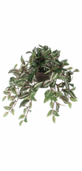 Umělá rostlina Mica Decorations Tradescantia závěsná O 25 cm V 45 cm, O: 25 cm