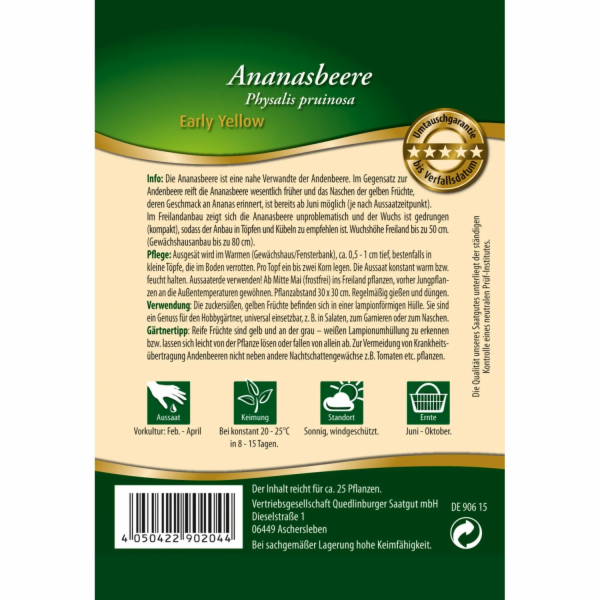 Quedlinburg Pineapple Berry "Early Yellow" volná semínka