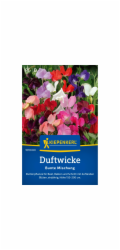 Kiepenkerl Sweet Peas "Barevná směs" Lathyrus odoratus