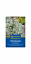 Kiepenkerl Alyssum "Sněhový koberec"